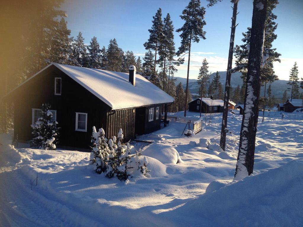 Chalet Vradal Villa Exteriör bild